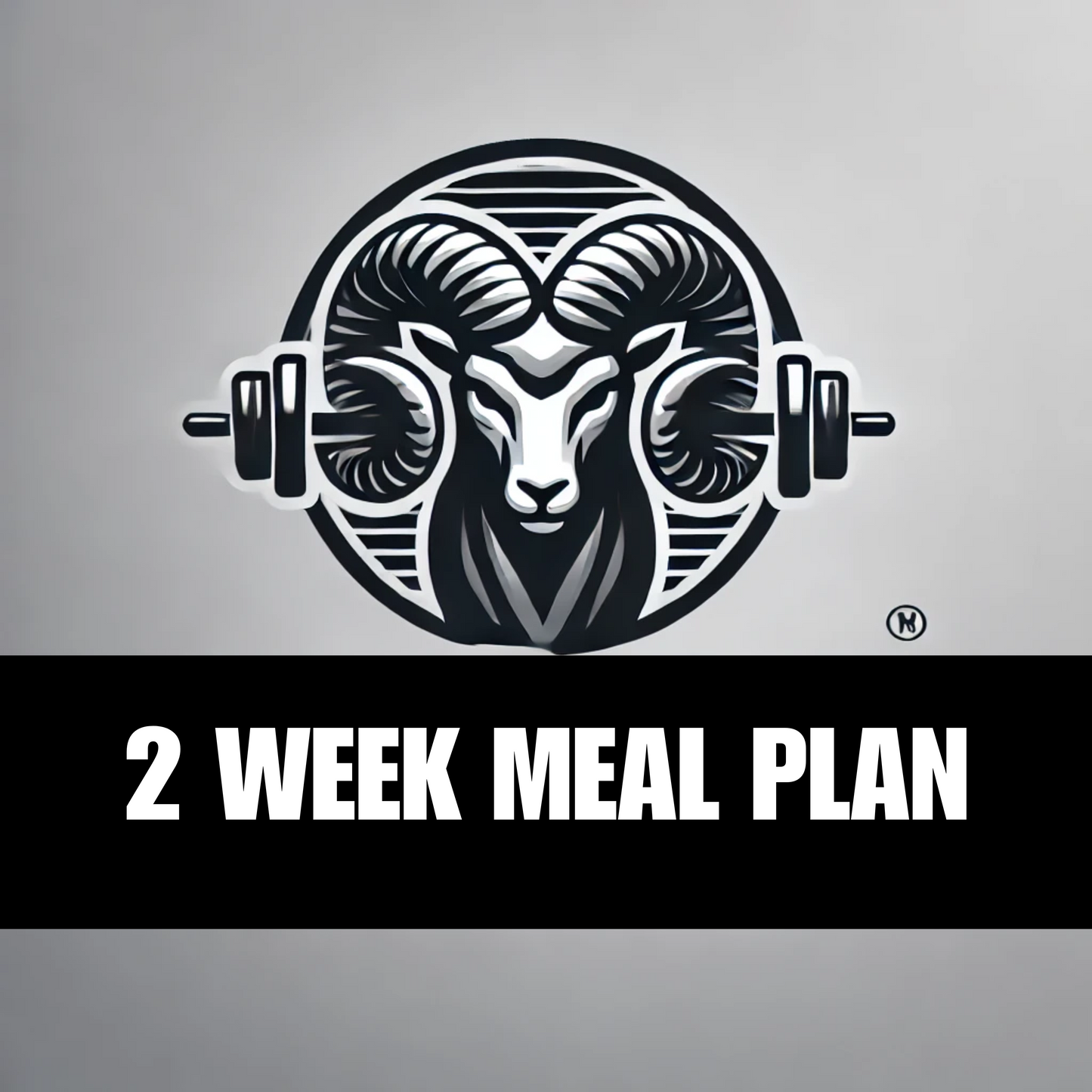 14 Day Meal Plan