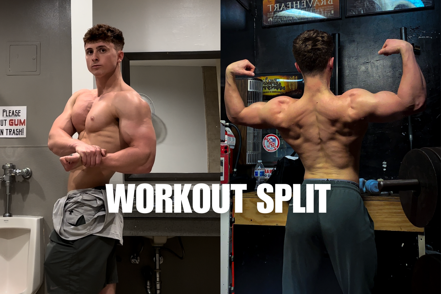 Workout Split