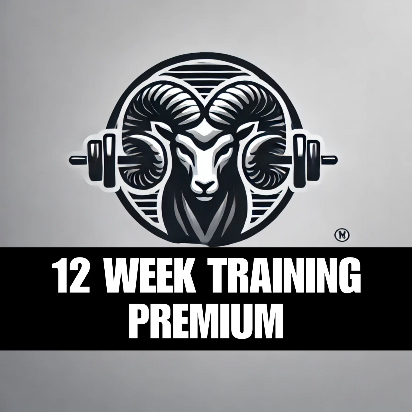 PREMIUM PACKAGE